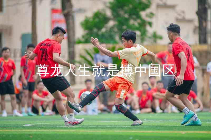 尊龙人生就是搏中国区