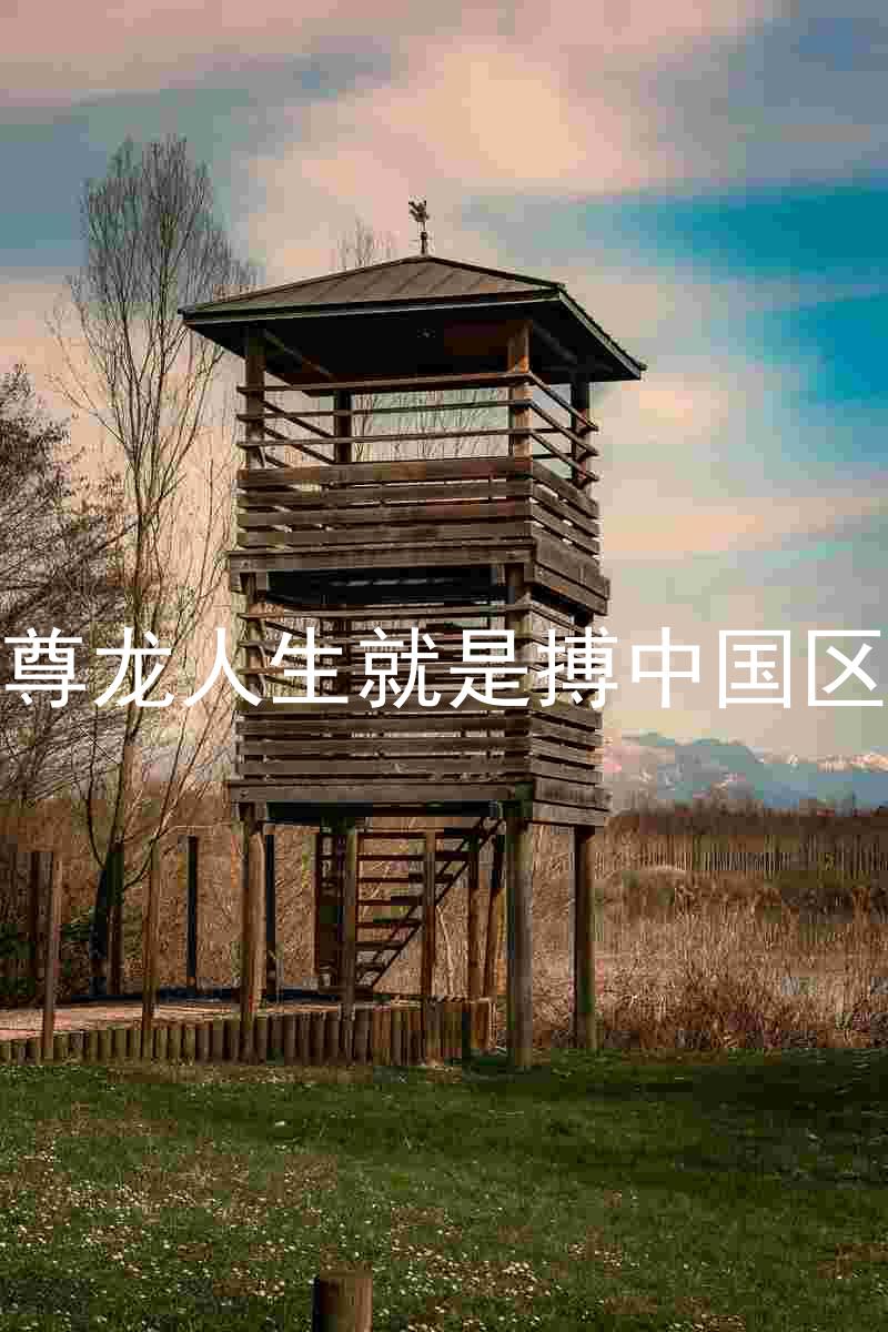 尊龙人生就是搏中国区